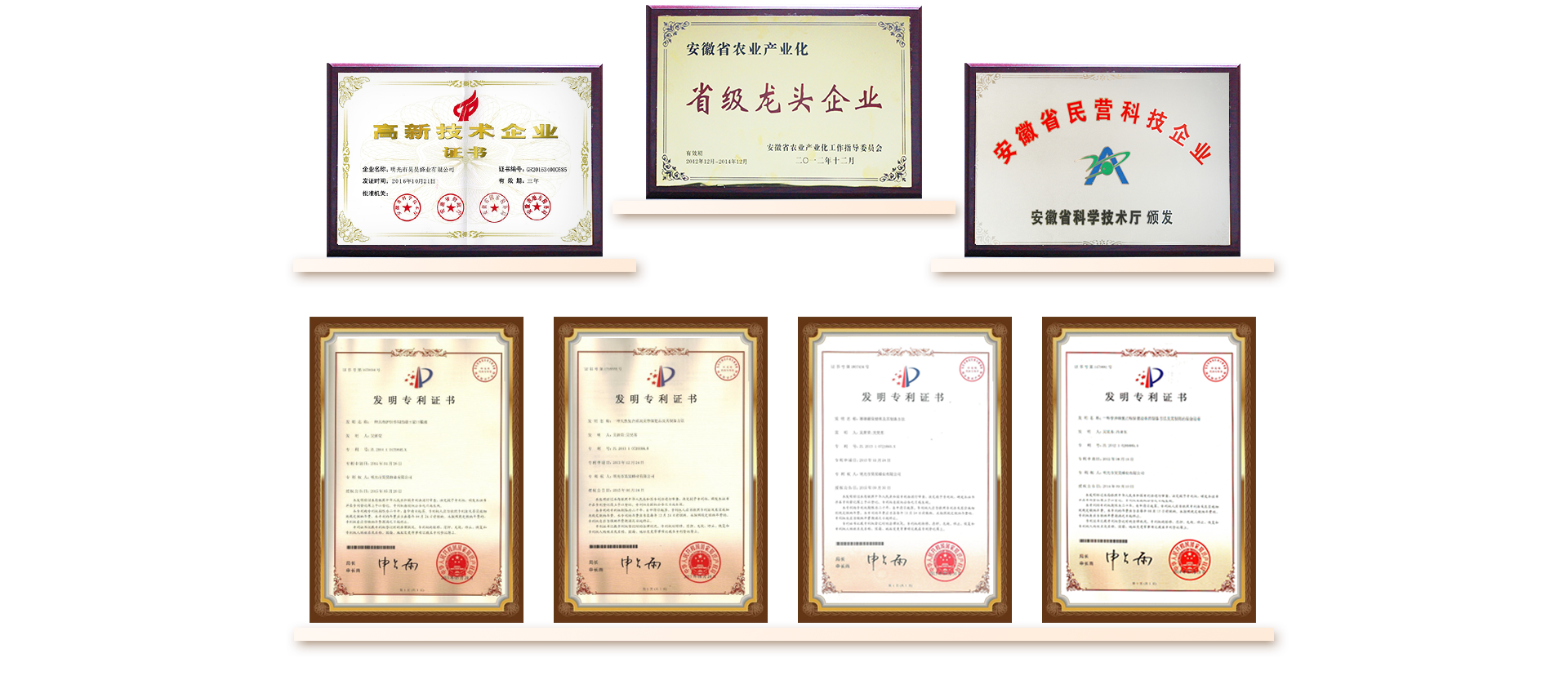 榮譽(yù)資質(zhì)